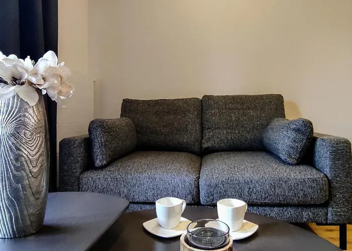 Moderni Rodinny 3kk D8 V Centru Harrachova S Vyhledem Na Skokanske Mustky - By Relax Daire Harrachov
